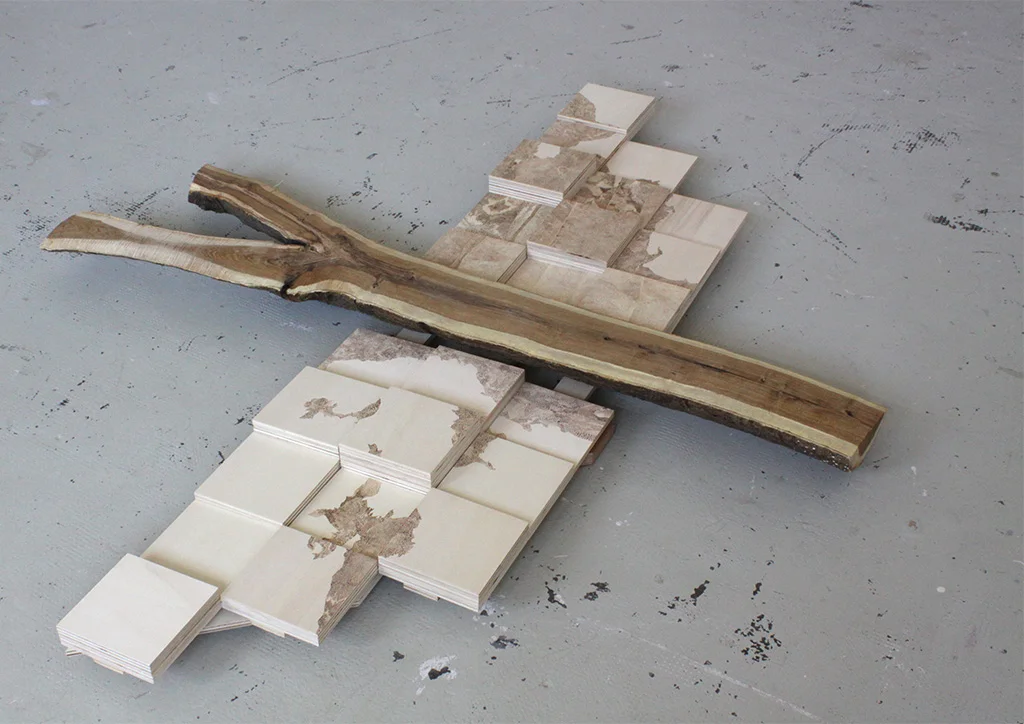 L'avion, sculpture (installation «Tim»), 2012, bois et contre-plaqué, 170 x 165 x 10 cm.