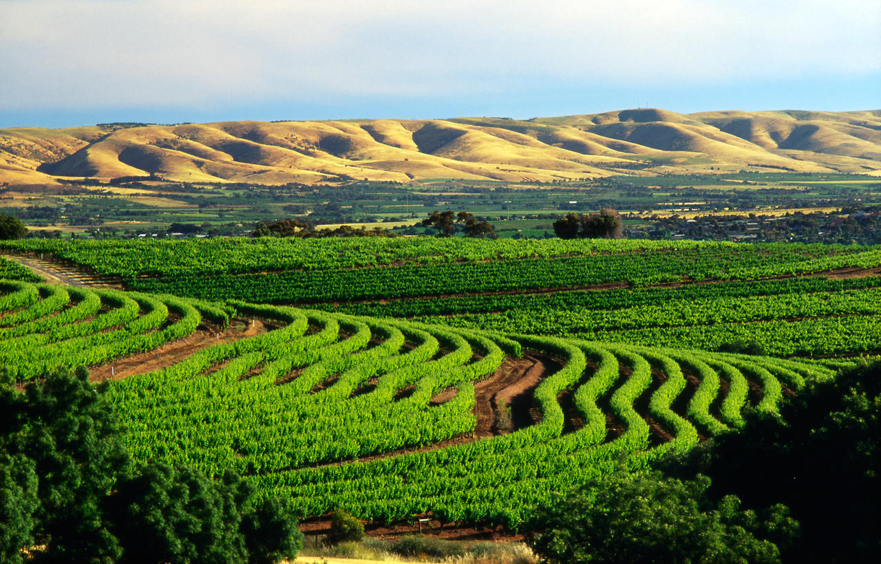 McLaren Vale