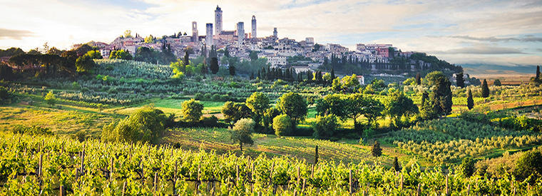 The village of San Gimignano and its famed towers