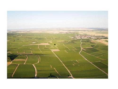 Bouzy- the village and vineyards
