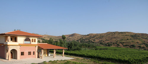 Comelli-Vineyards.jpeg