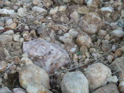 Silica cobbles in clay in the Chaume vineyards