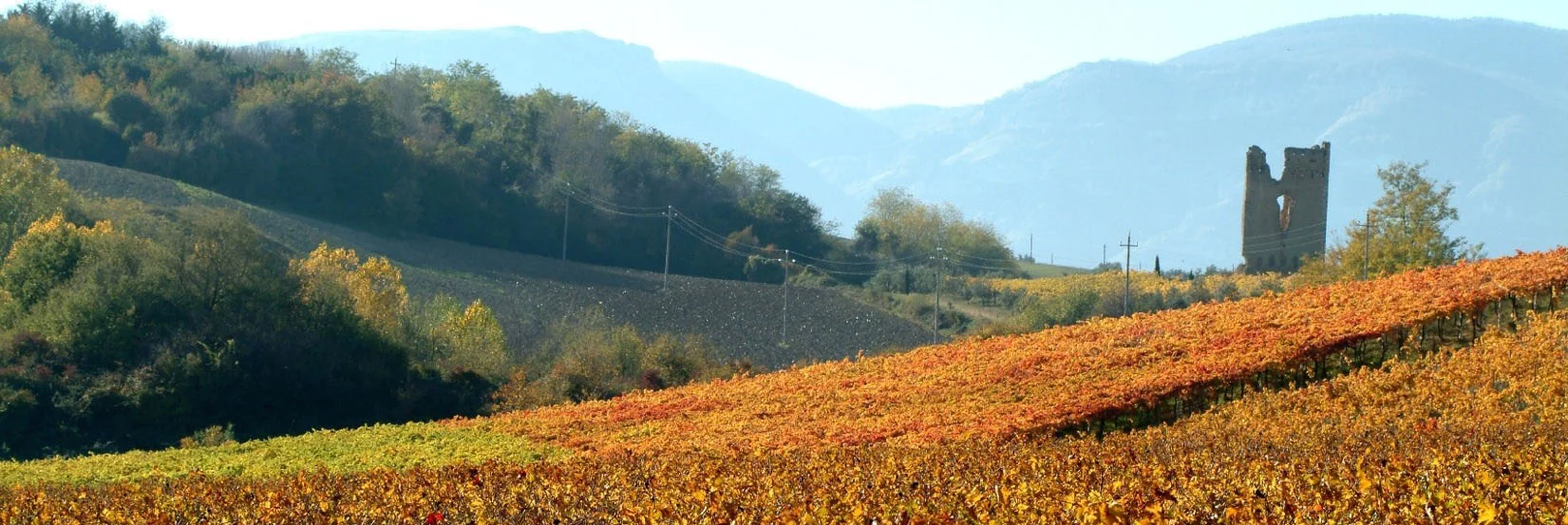 Torre Raone.jpg