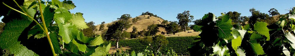 Barossa - Maverick.jpg