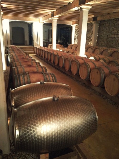 St Jacques d Albas Barrels old and new.jpg