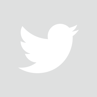 Twitter_Logo_WhiteOnImage.png