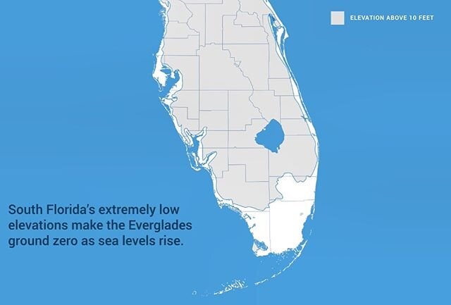 Link in Bio. The Hill ran an editorial of mine today: &ldquo;Lessons from the front line - Florida&rsquo;s fight with sea level rise&rdquo;. Coronavirus is grinding Florida to a halt but in so many ways this is a dry run for the tragedies that will u