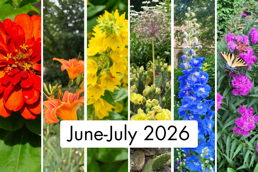 June-July 2026