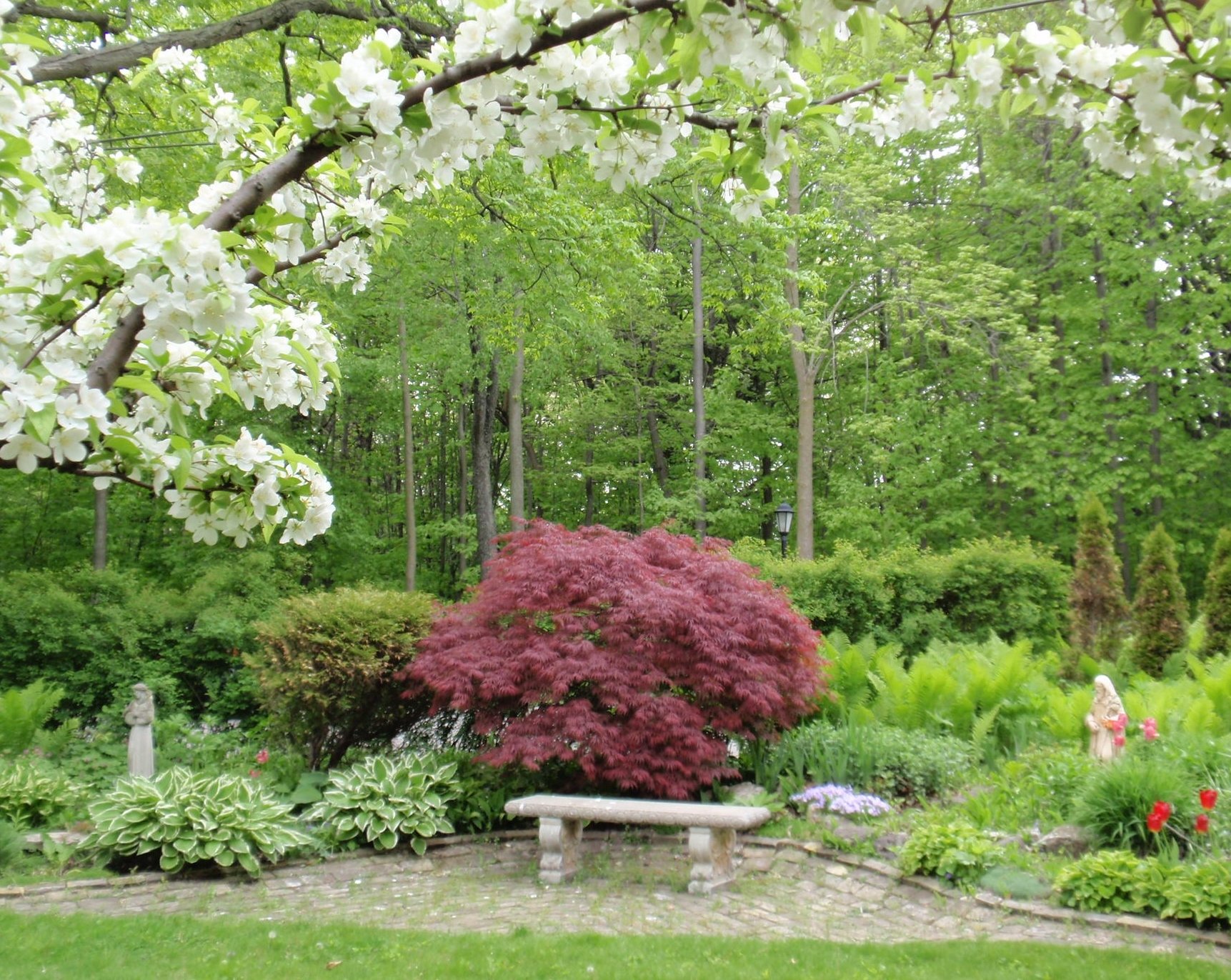 bishops garden & magnolia 011.jpg