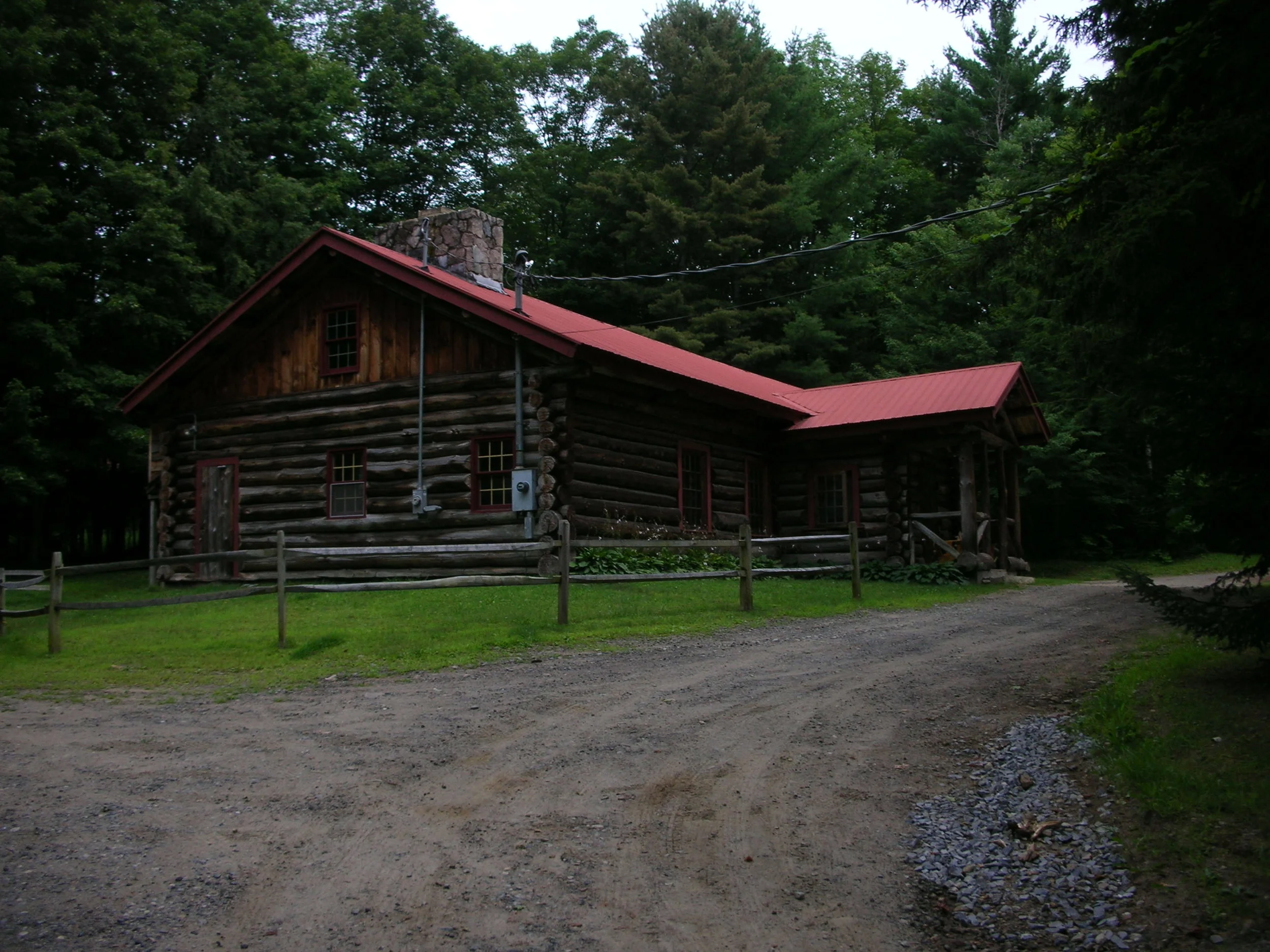 whitepine1.jpg