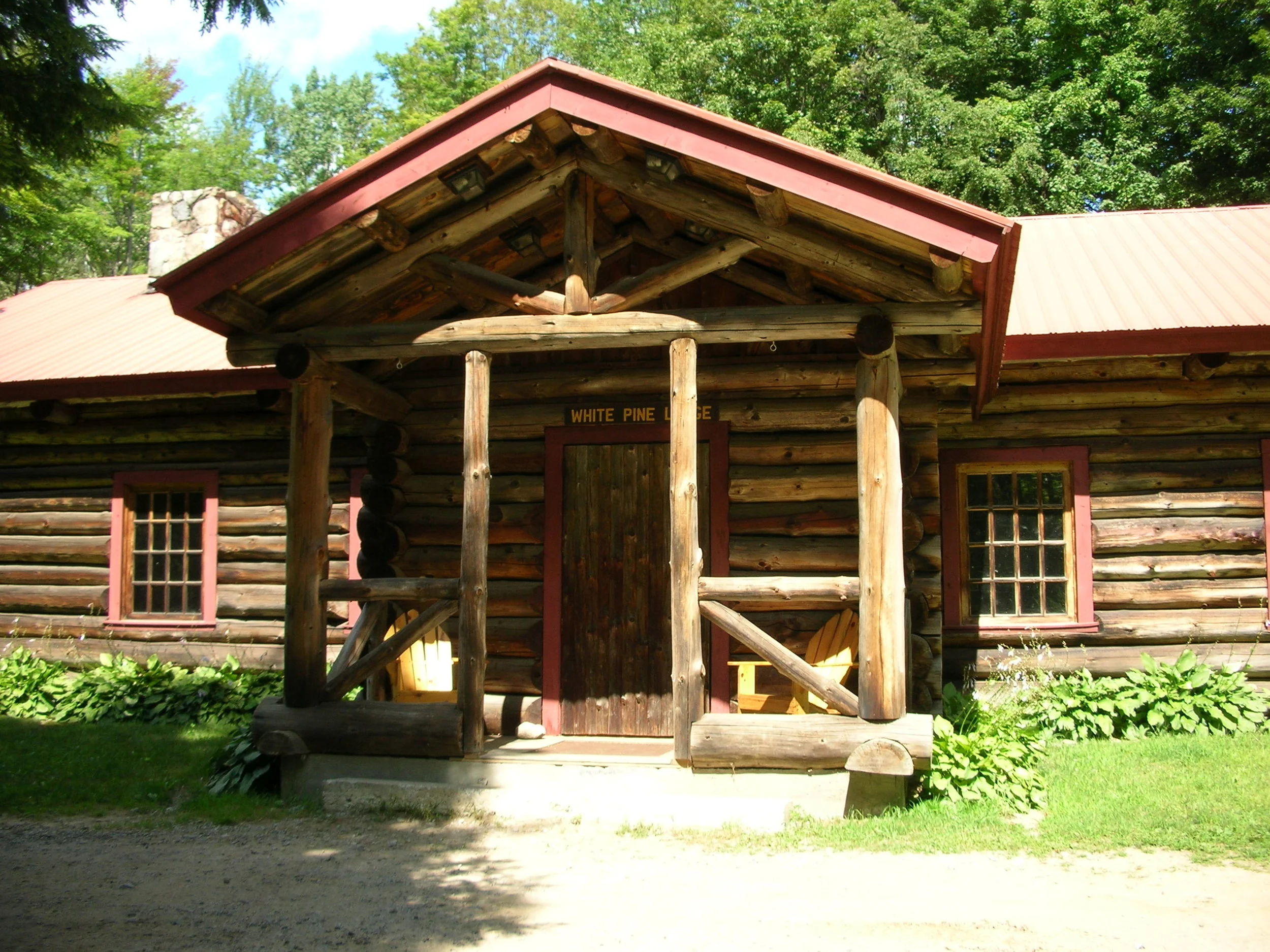 whitepine2.jpg