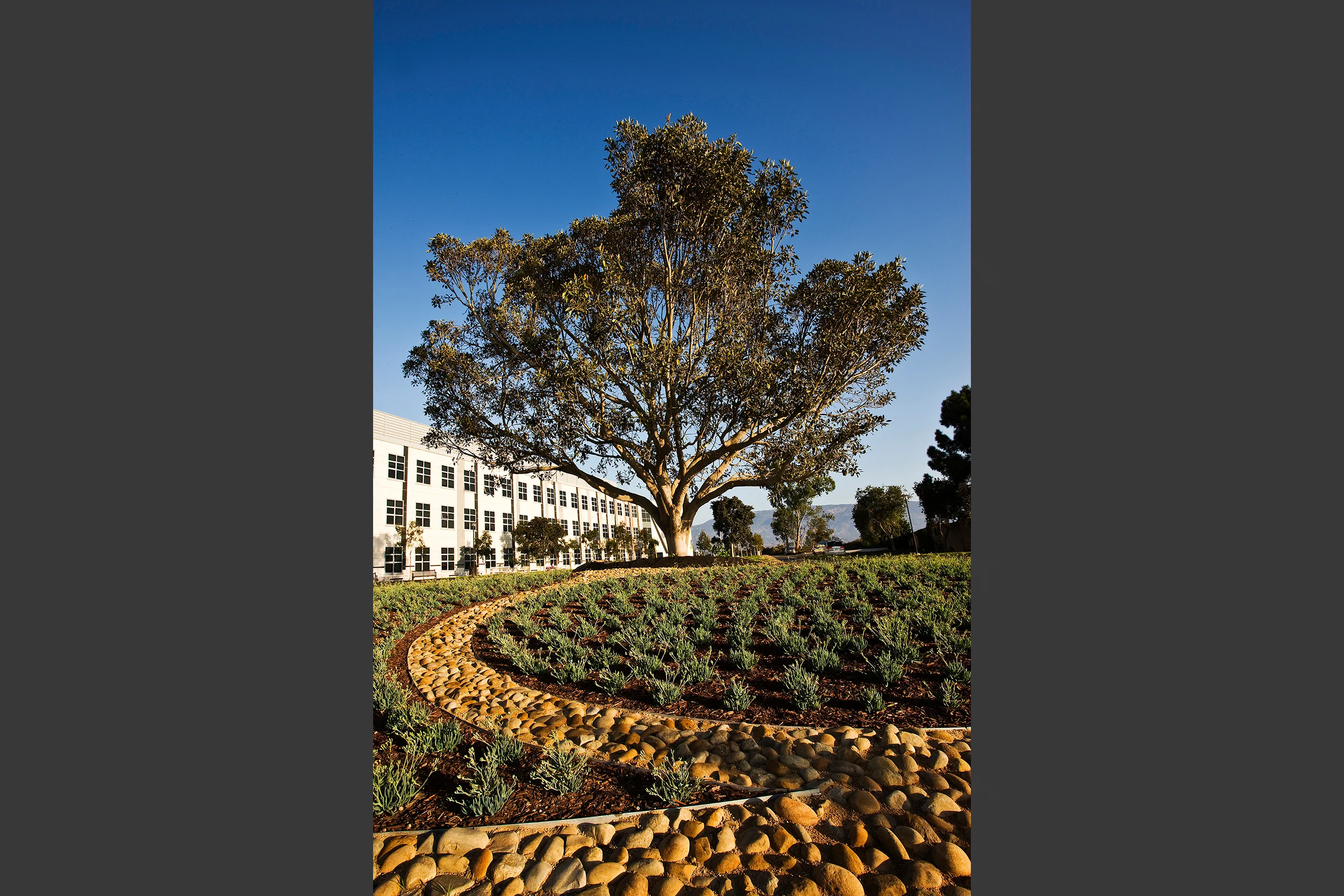 UCSB-1.jpg