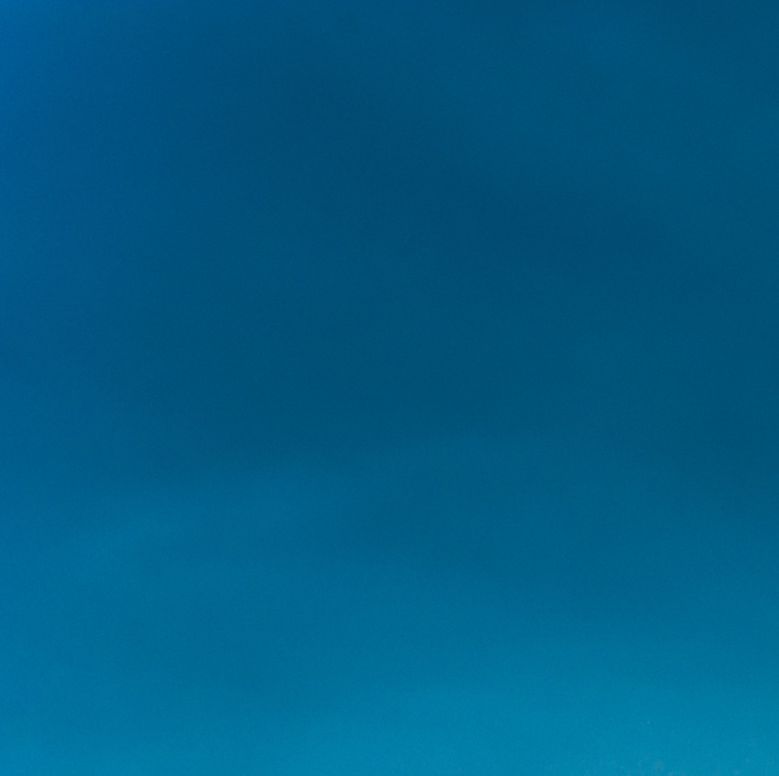 blue sky 1.png