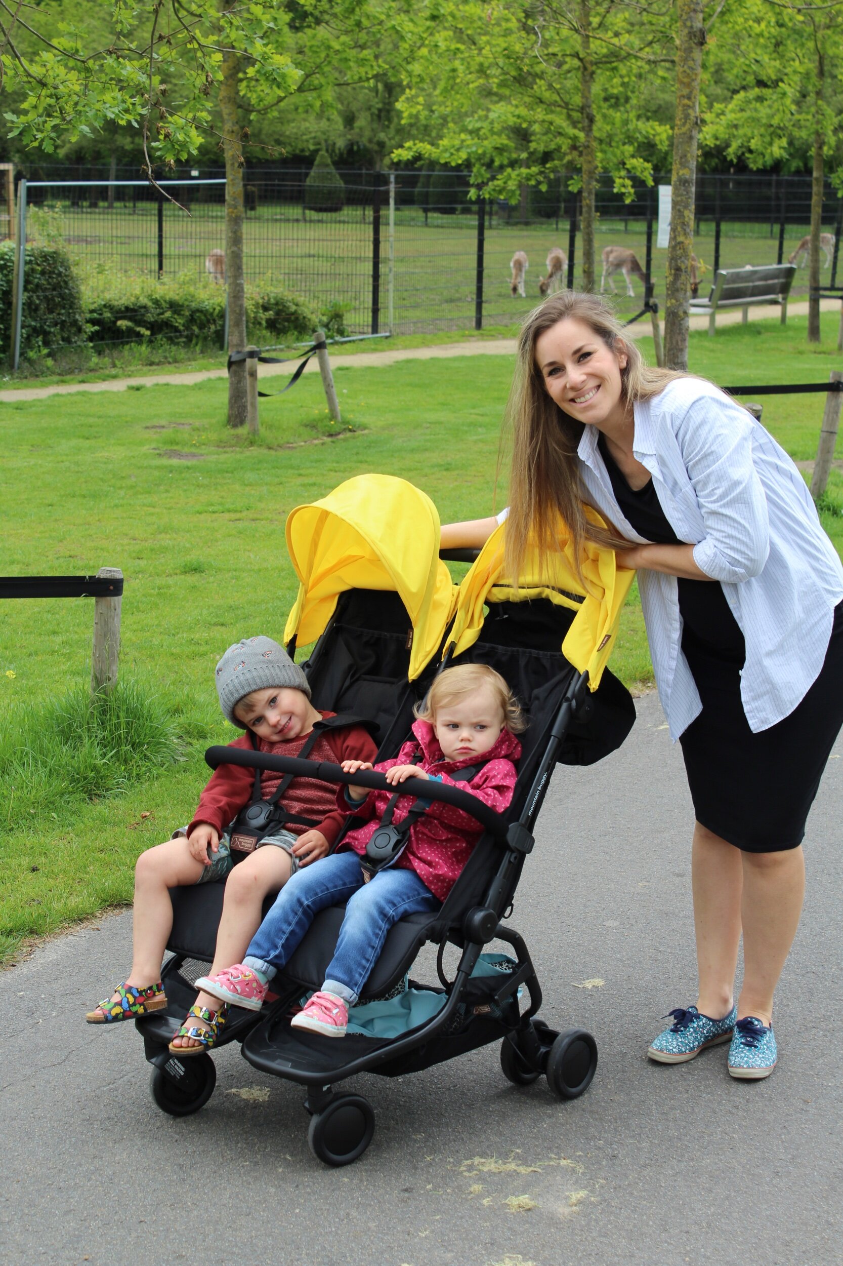 mountain buggy nano duo used