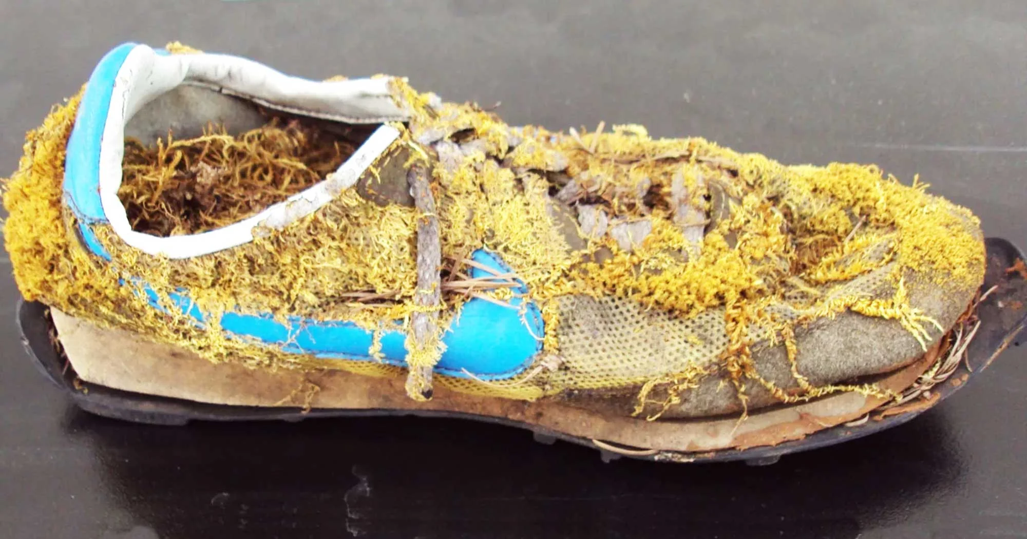 nike ldv vintage for sale