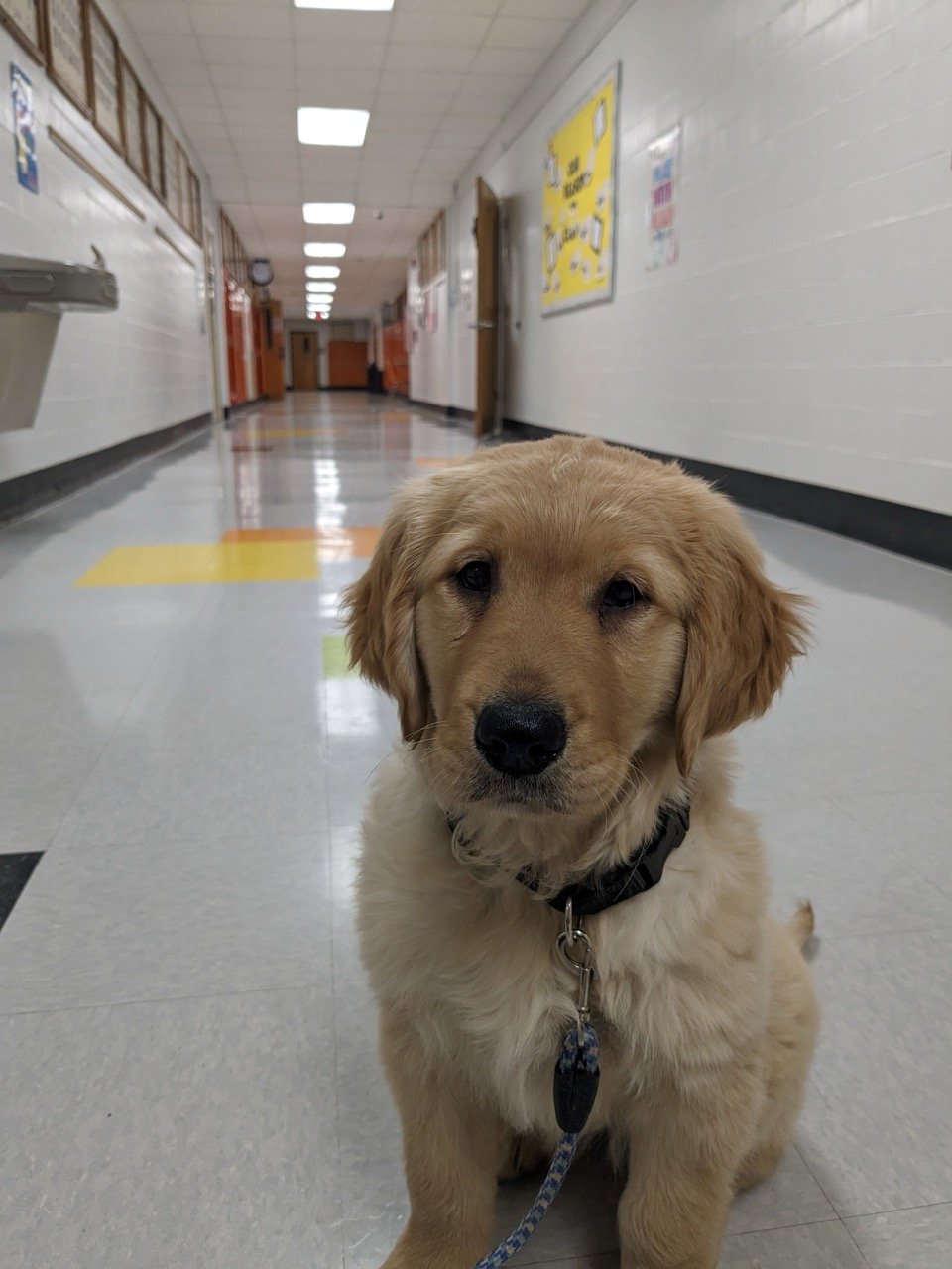 Americans Helping Teachers Grant recipients see progress already this school year!