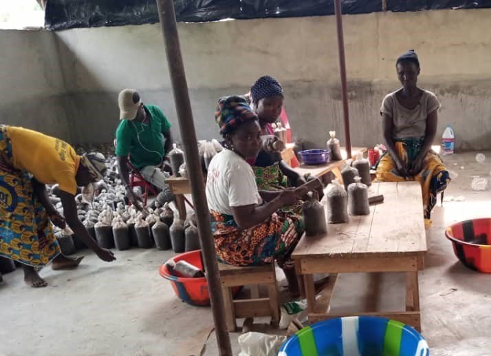 Women in Sierra Leone preparing mushroom grow bags for distribution.jpg