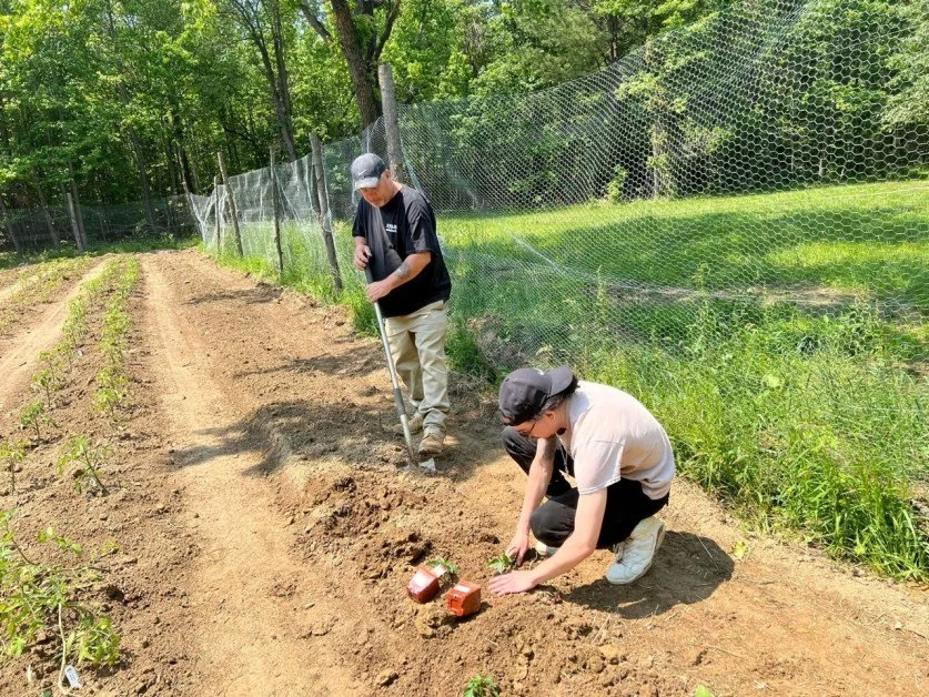 Cultivating Community: Noah Proctor’s 2023 Dreamstarter Garden