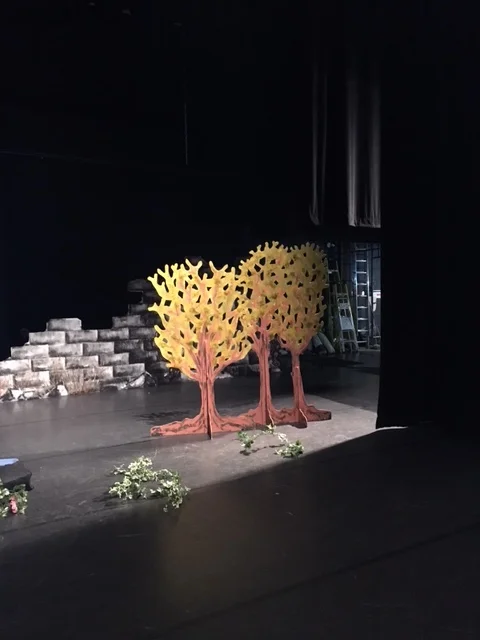 Trees in place.JPG