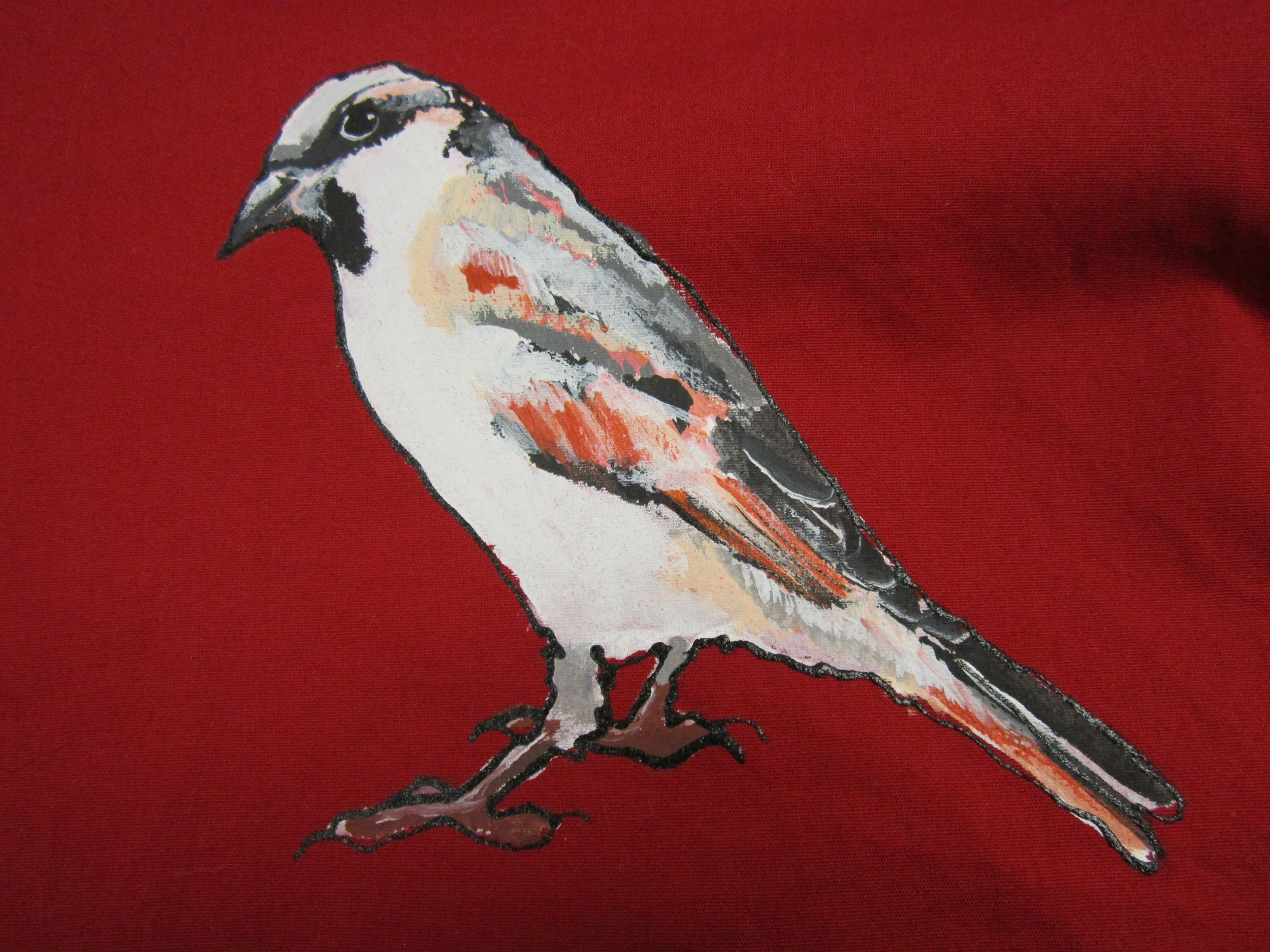 finch.JPG