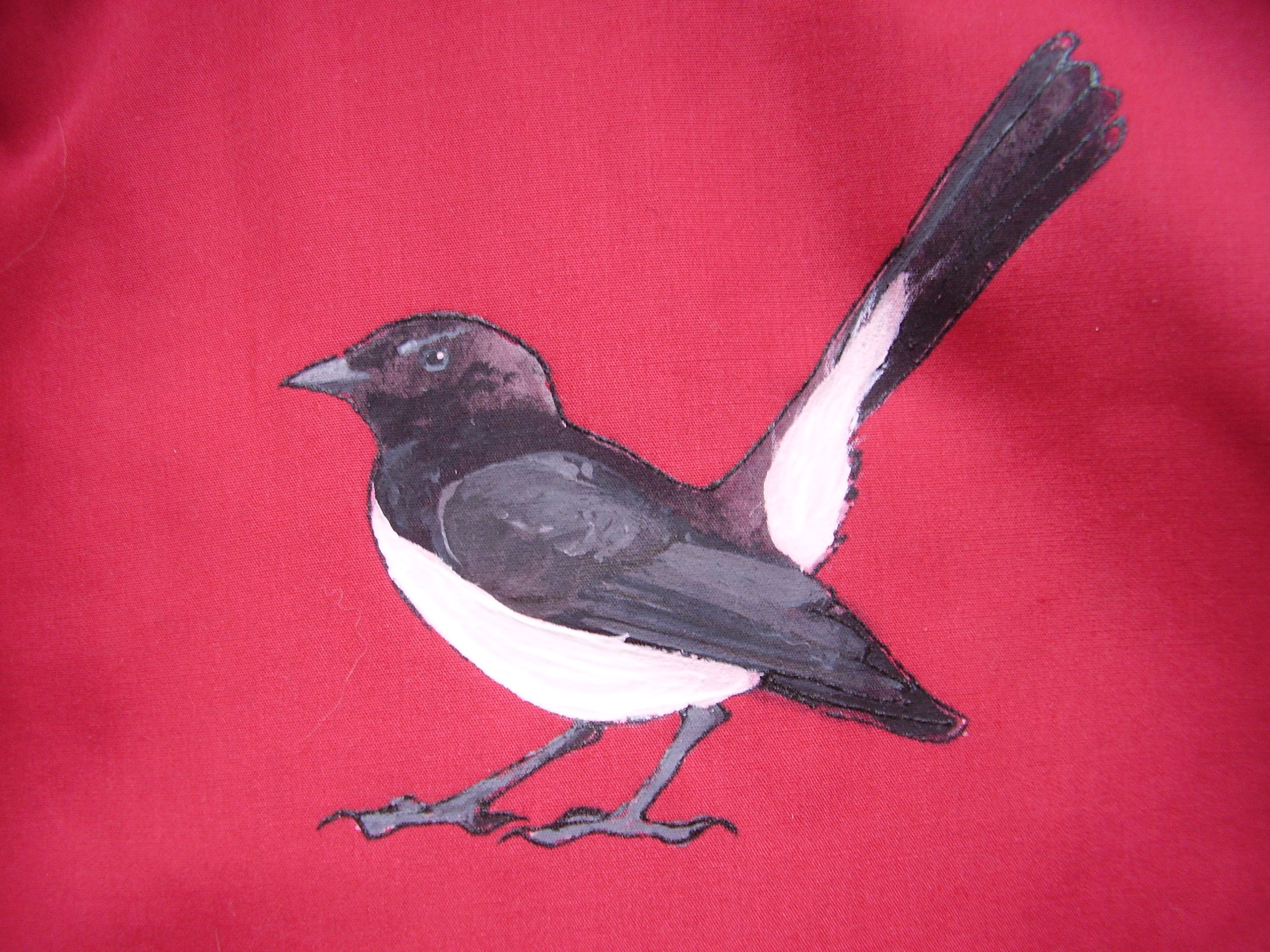 magpie tail first.JPG