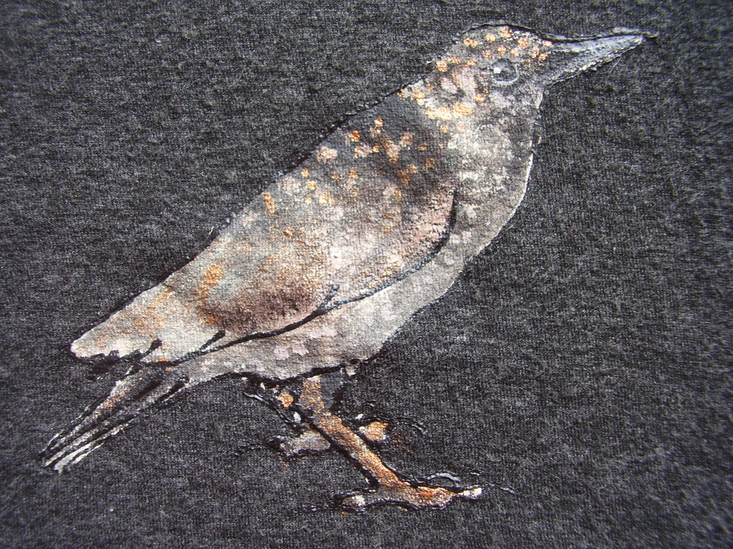 starling.JPG