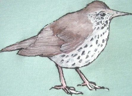 woodthrush redux.JPG