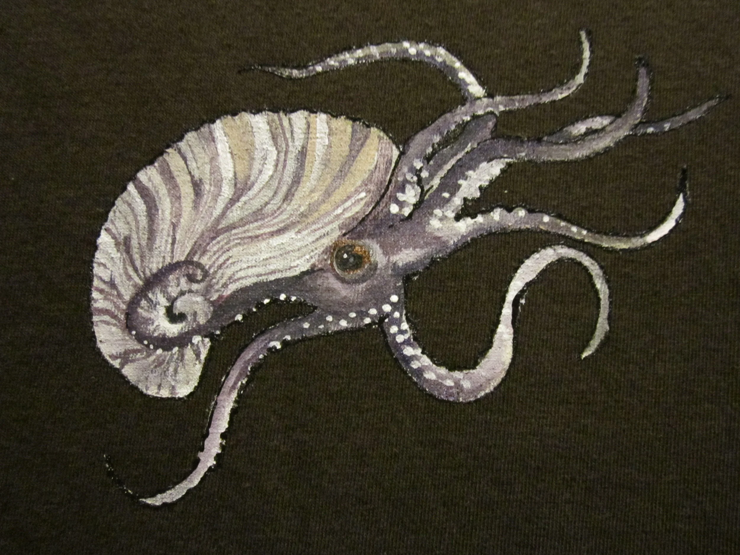 nautilus.JPG