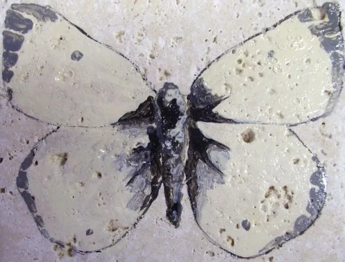 clouded sulphur butterflytile.JPG