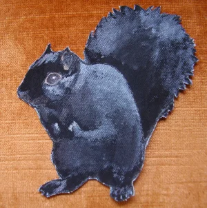 black squirrel.JPG