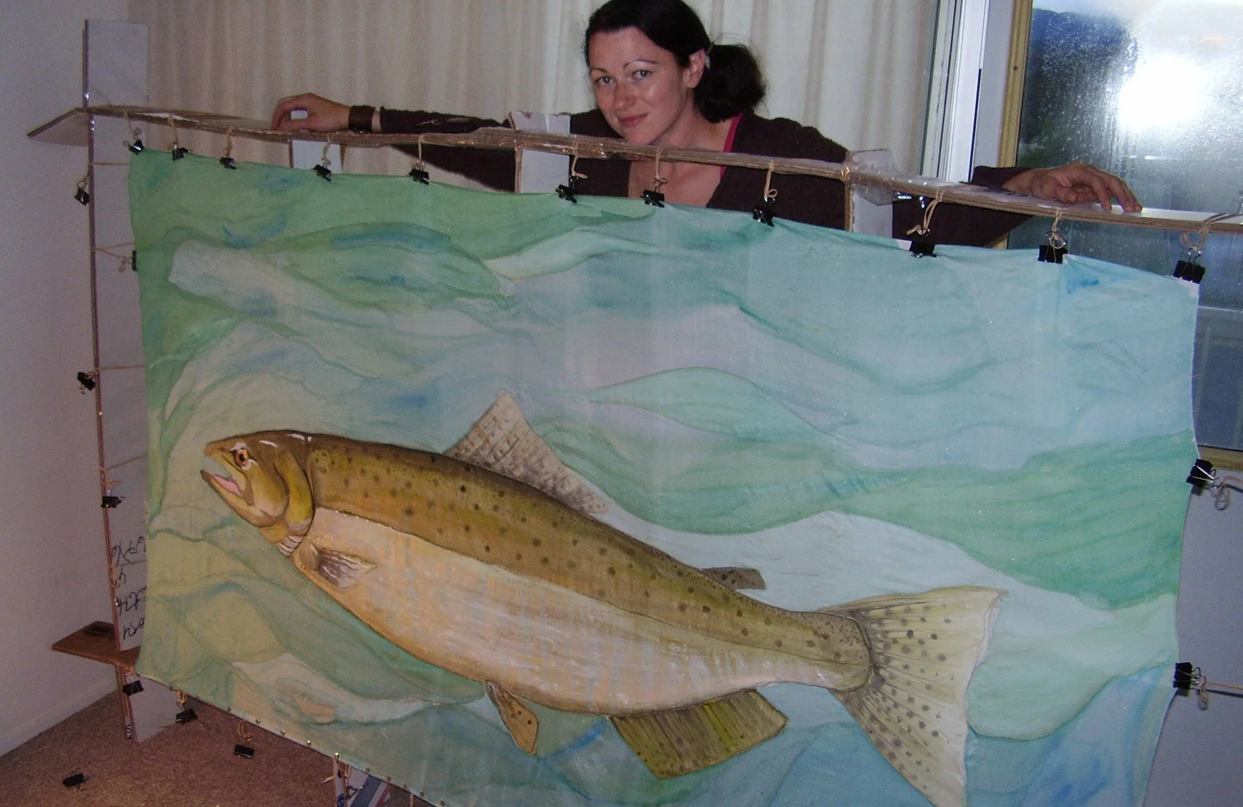 11++ Top Salmon wall art images info