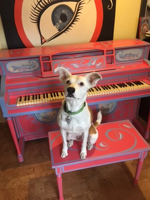 Piano final.JPG