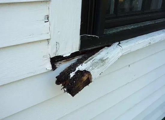 rot-window-trim.jpg