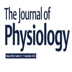 Stretch Therapy Lowers Risk of Cardiovascular Disease