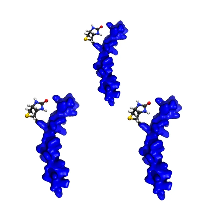 Bio Peptide.jpg