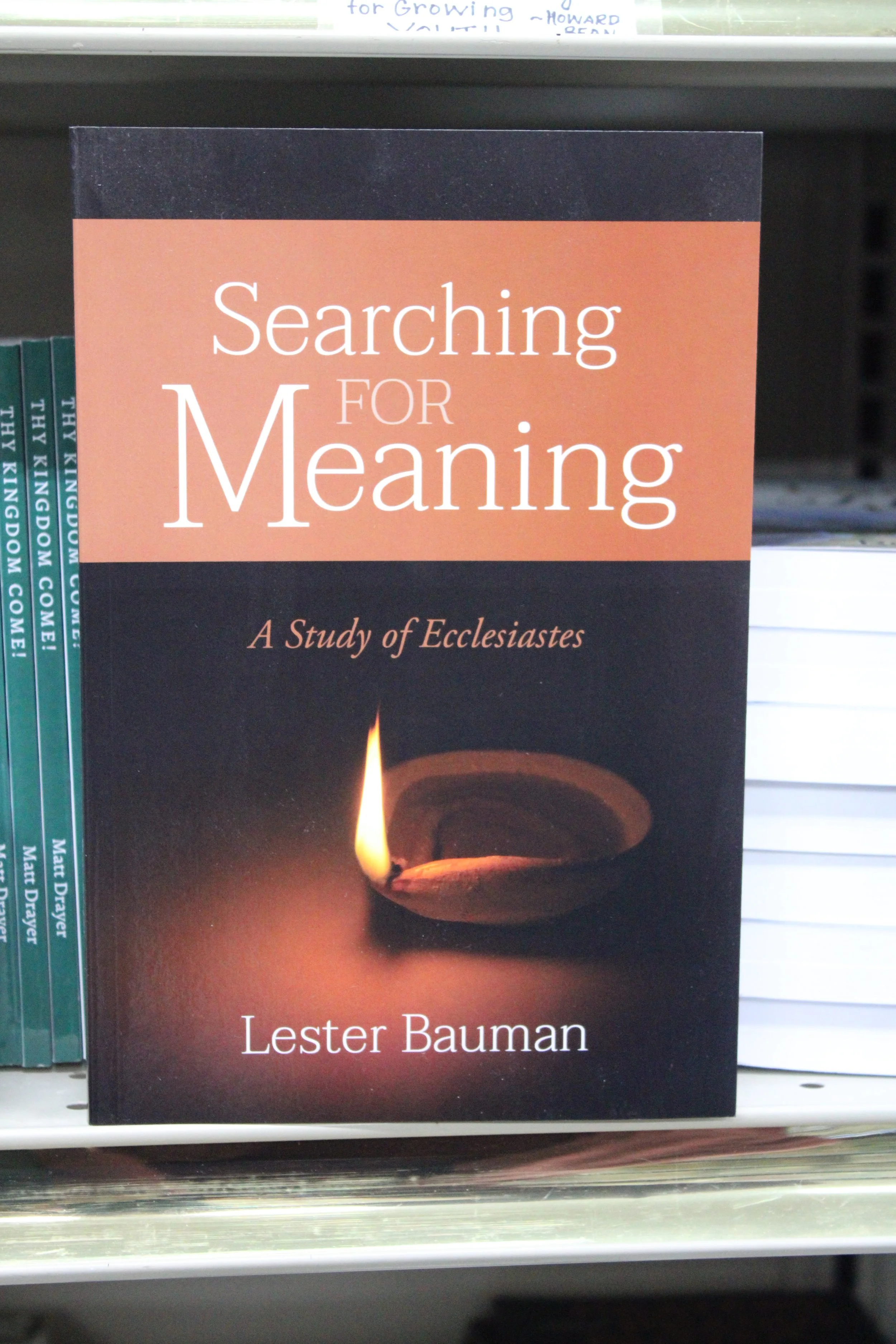 Searching for Meaning