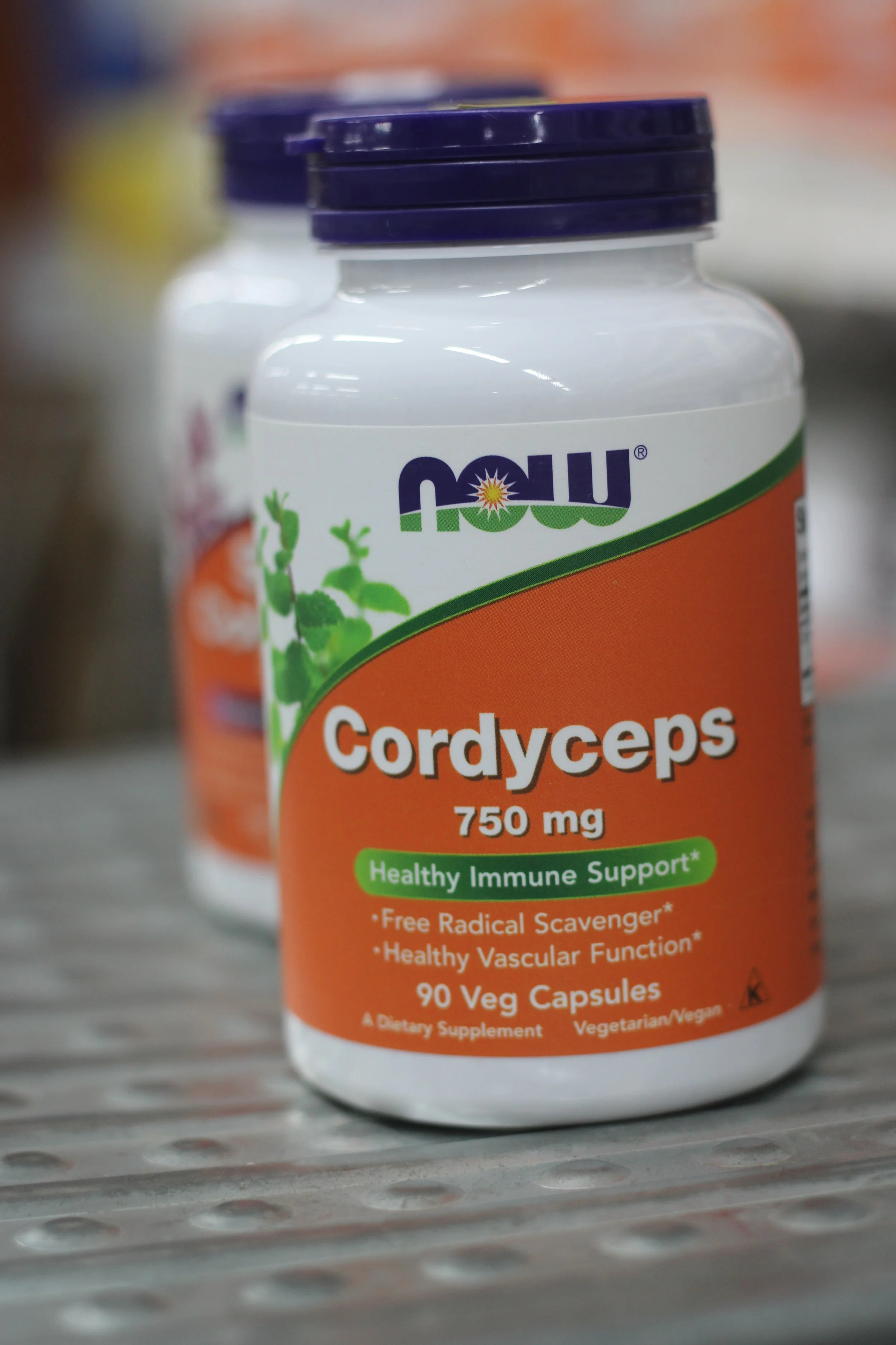 Cordyceps