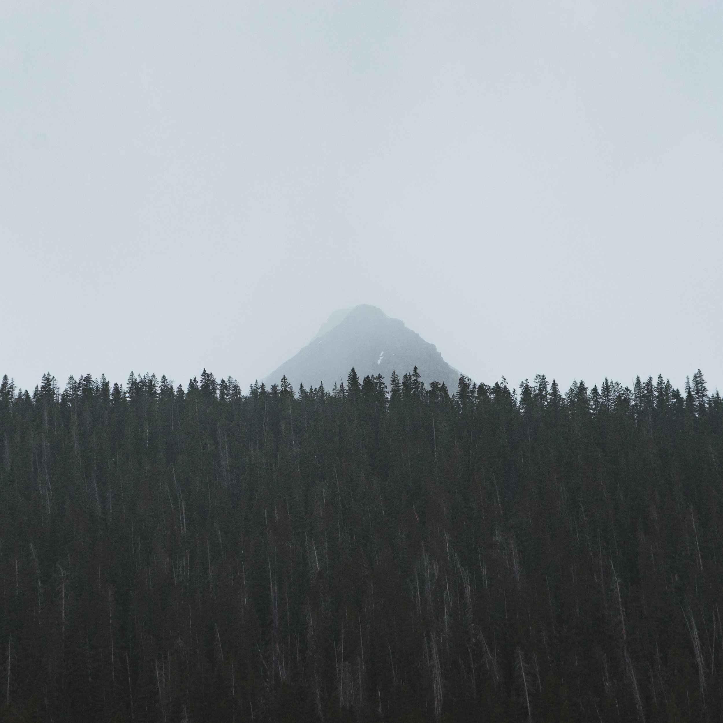 hunter-bryant-102470-unsplash.jpg