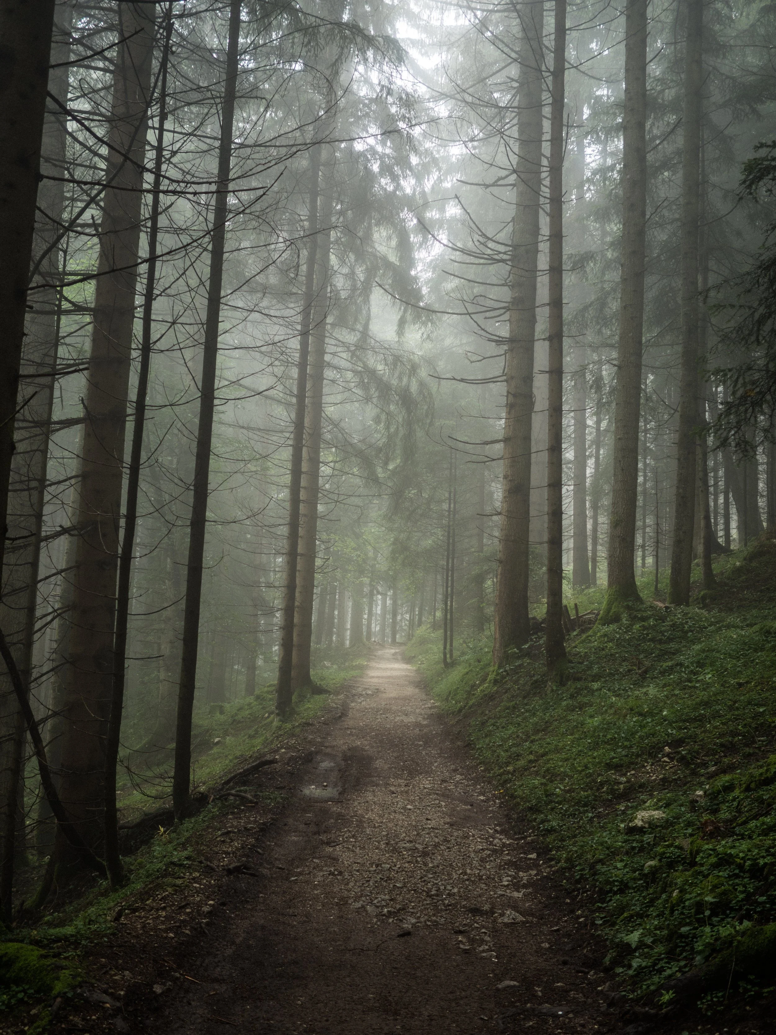 jonas-tebbe-334224-unsplash.jpg