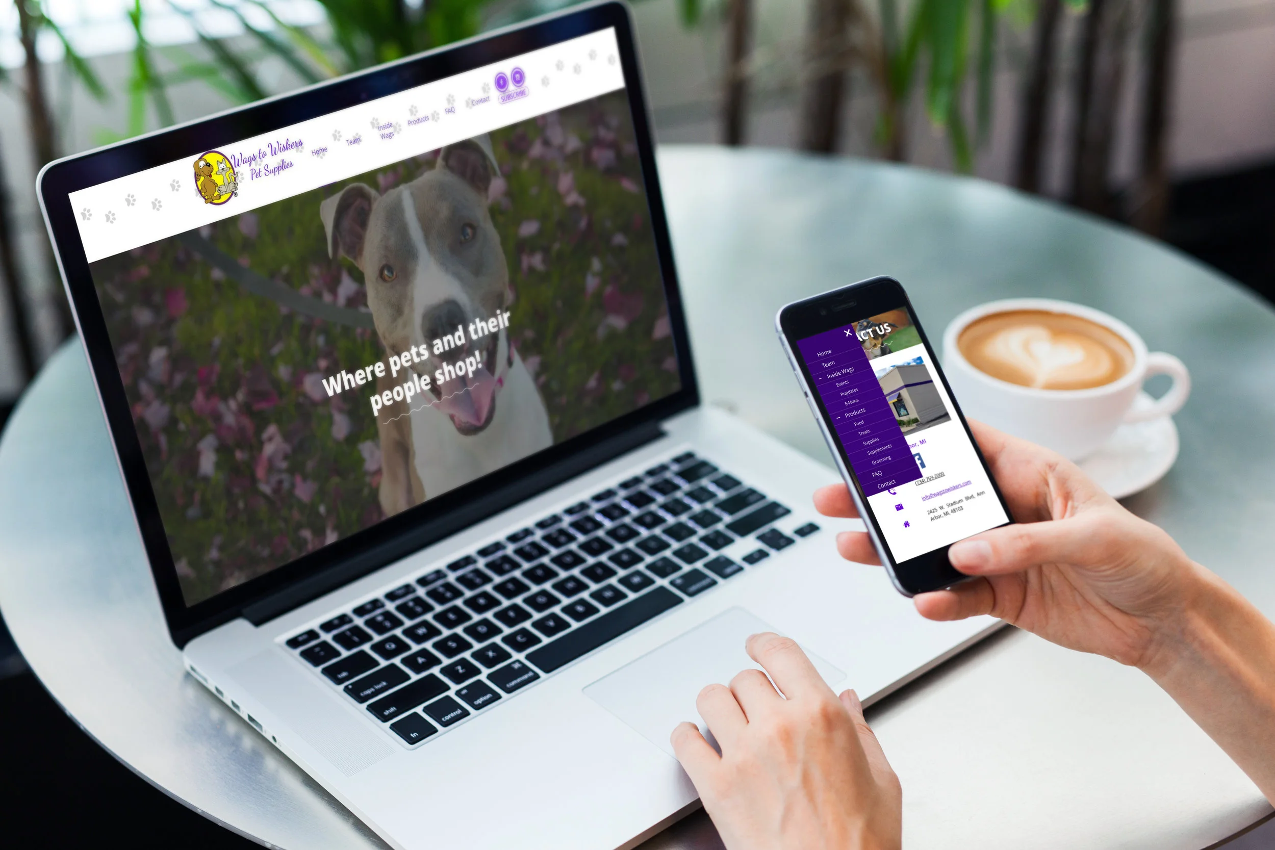 Wags to Wiskers Website