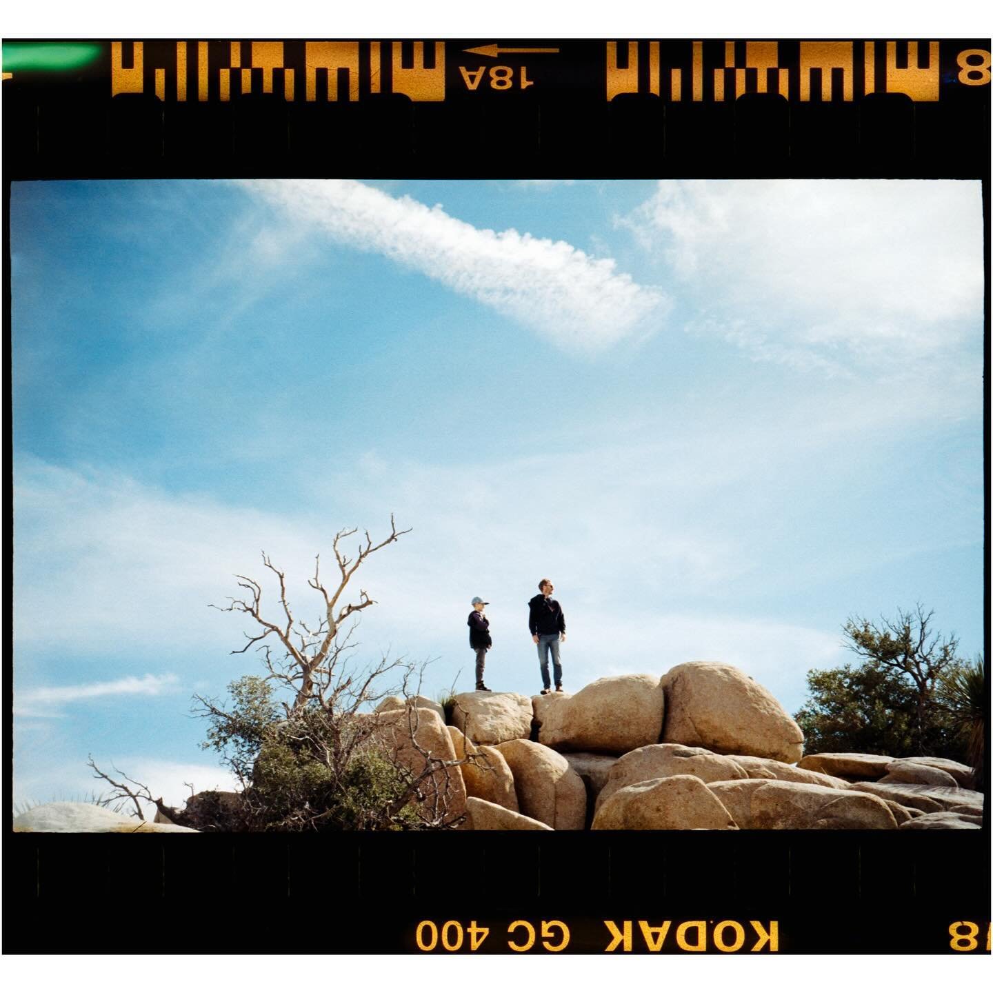 Film rebate dilemmas 🎞️🎞️🎞️

📍 Joshua Tree, CA
📷 Canon Prima
🎞️ Kodak Ultramax
.
.
.
.
.
#kodakultramax #shotonfilm #joshuatree #kodak400 #filmisnotdead