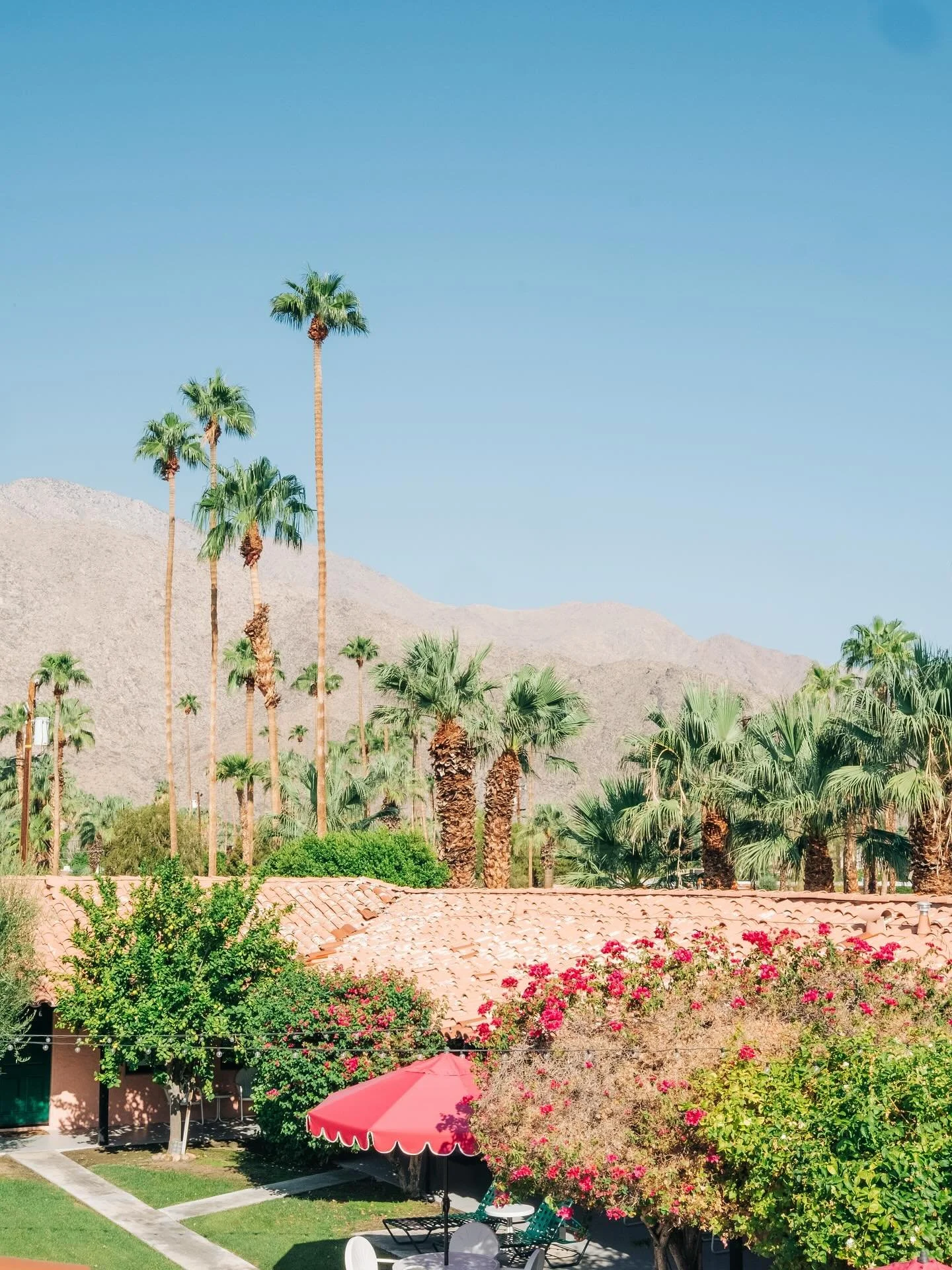 Too stressed to watch the @bluejays so I&rsquo;m revisiting our trip to @lescactusps last month&hellip;

#palmspringslife #fujixt3 #shotonfuji