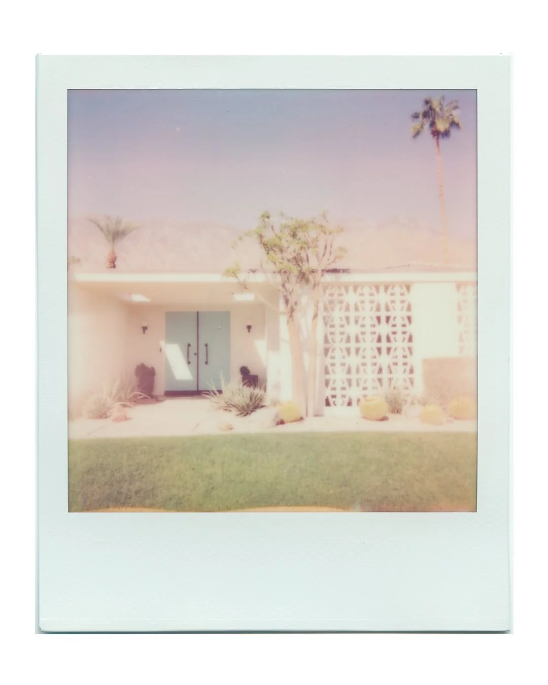 Palm Springs on @polaroid ☀️ 
#instantfilmsociety #polaroidnowplus #instantfilm #polaroid