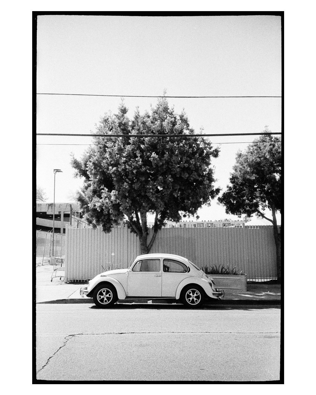Wandering around the parts of L.A. that look very nice in black and white 😎
📸 Canon Prima 85n
🎞️ Fuji Neopan 1600 Super Presto (expired)
#neopan1600superpresto #neopan1600 #expiredfilm #monochromegrain