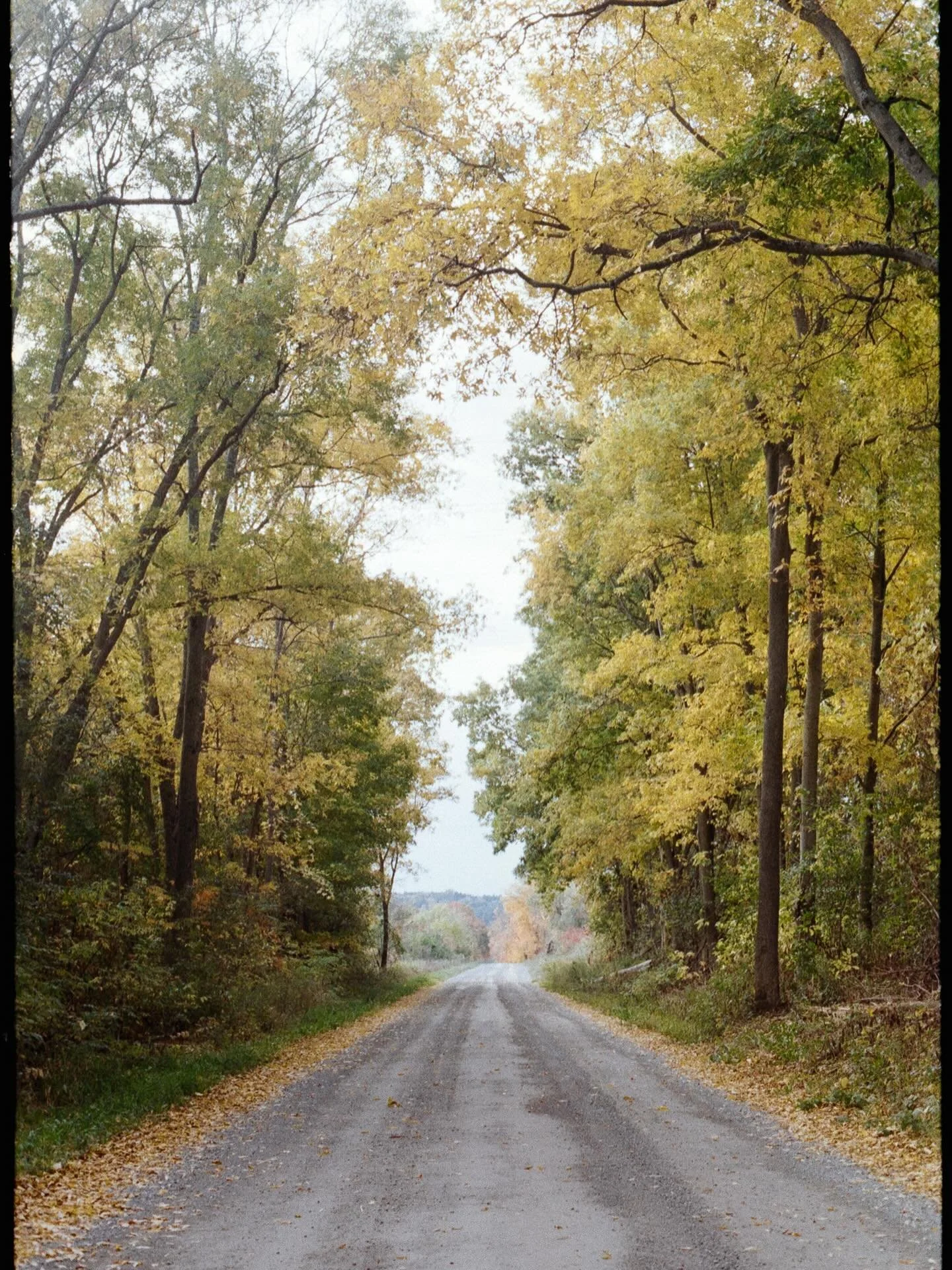 I didn’t expect to love Kodacolor 100 this much 🤩🤩🤩
Obsessed with this new film stock and can’t wait to try 200 next. Thank you for making colour film, @kodak! And thank you for carrying it, @downtowncameraltd 👌🏻
📸 Rebel 2000 + 50