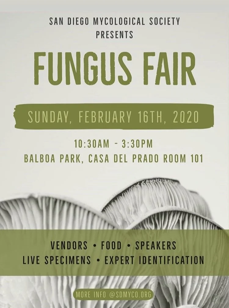 SDMYCO Fungus Fair 2020