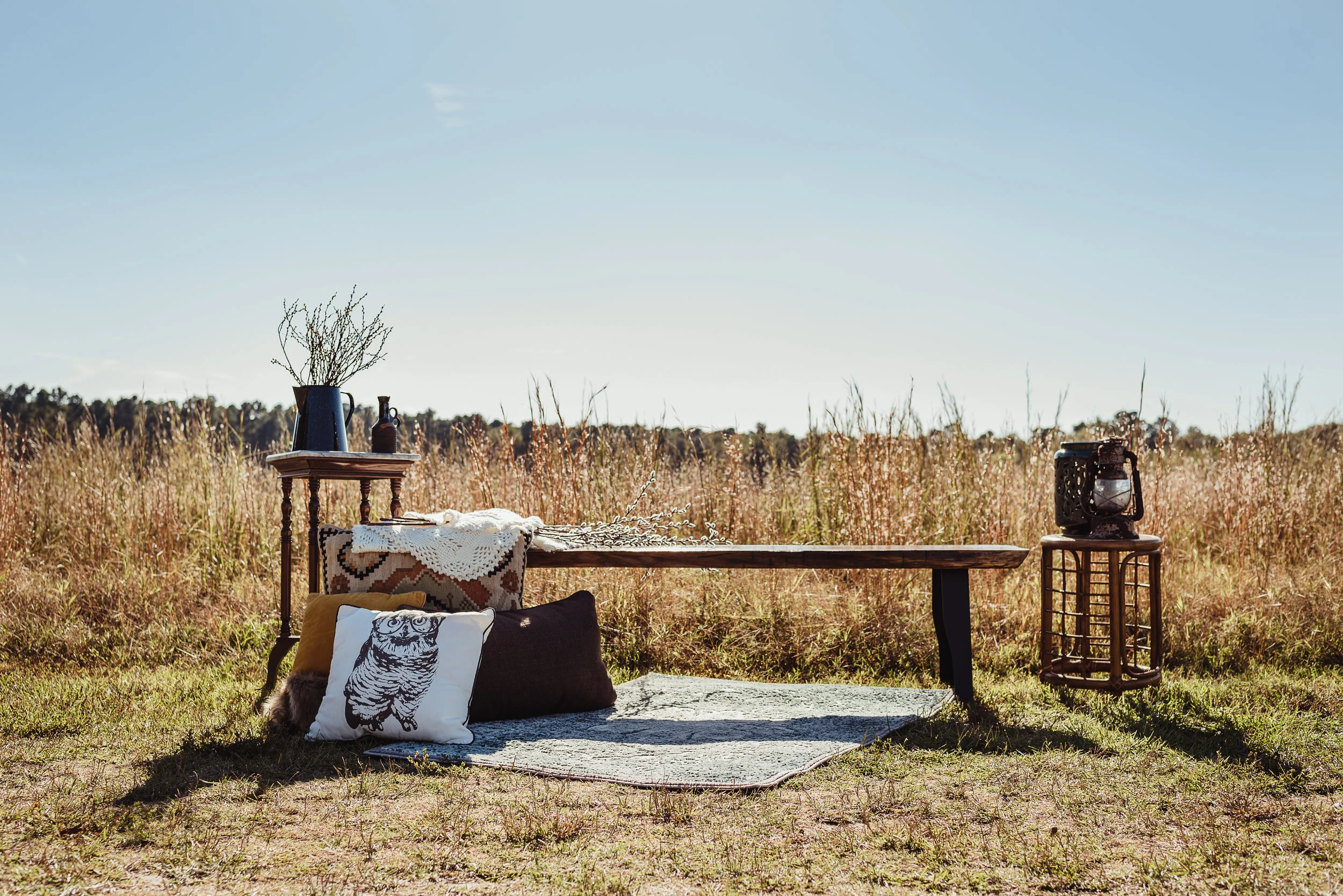 styling rose trail images mini sessions <3
