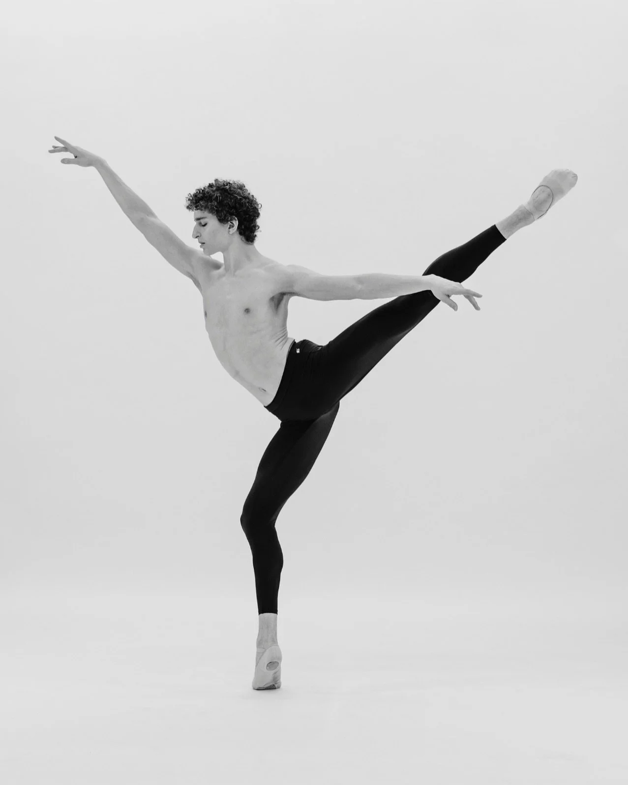 Fall Gala tickets available at the link in bio!

📸: @mleefilm 
In collaboration with @fig._magazine