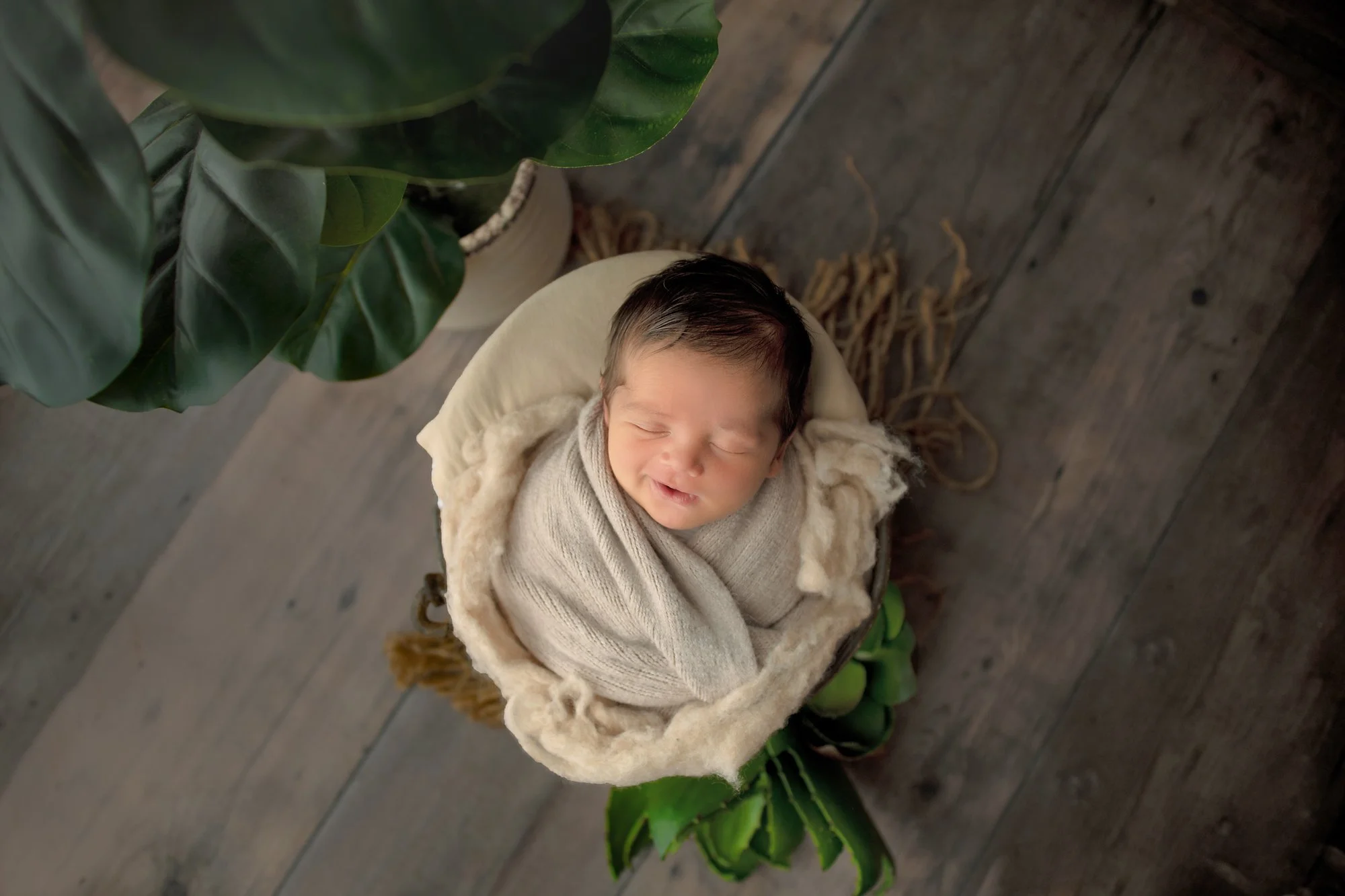 Smiling baby boy on wood planks in bucket with green plants and brown knit wrap in Ponte Vedra