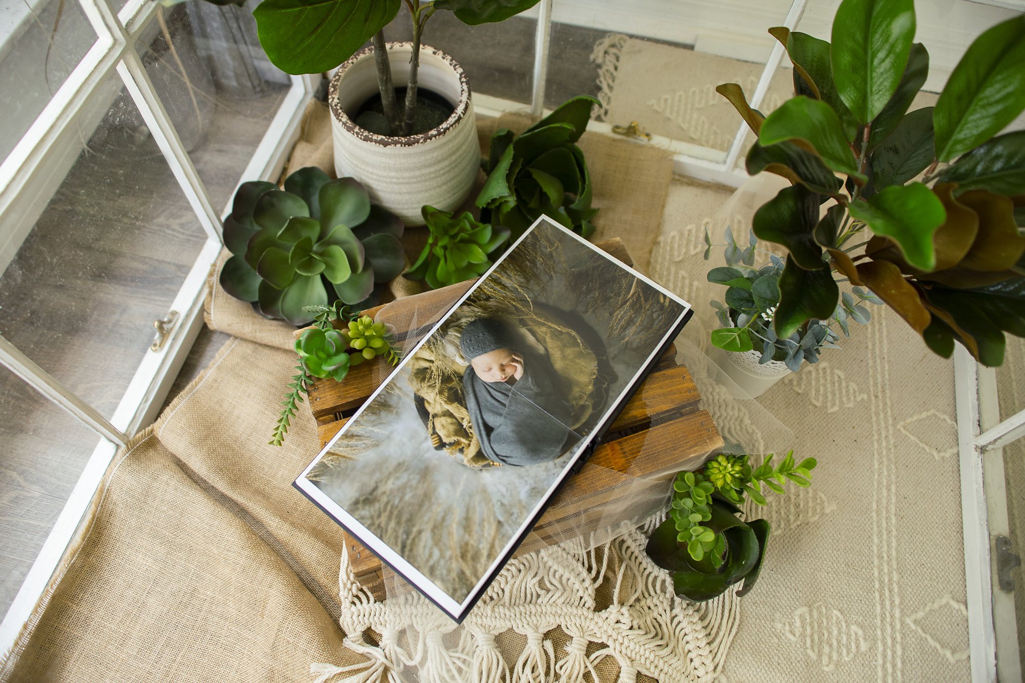Photo studio in St. Augustine FL 32080 with various potted succulents and a framed photo of a sleeping newborn wrapped in a gray blanket, laid on a wooden tray and burlap material.